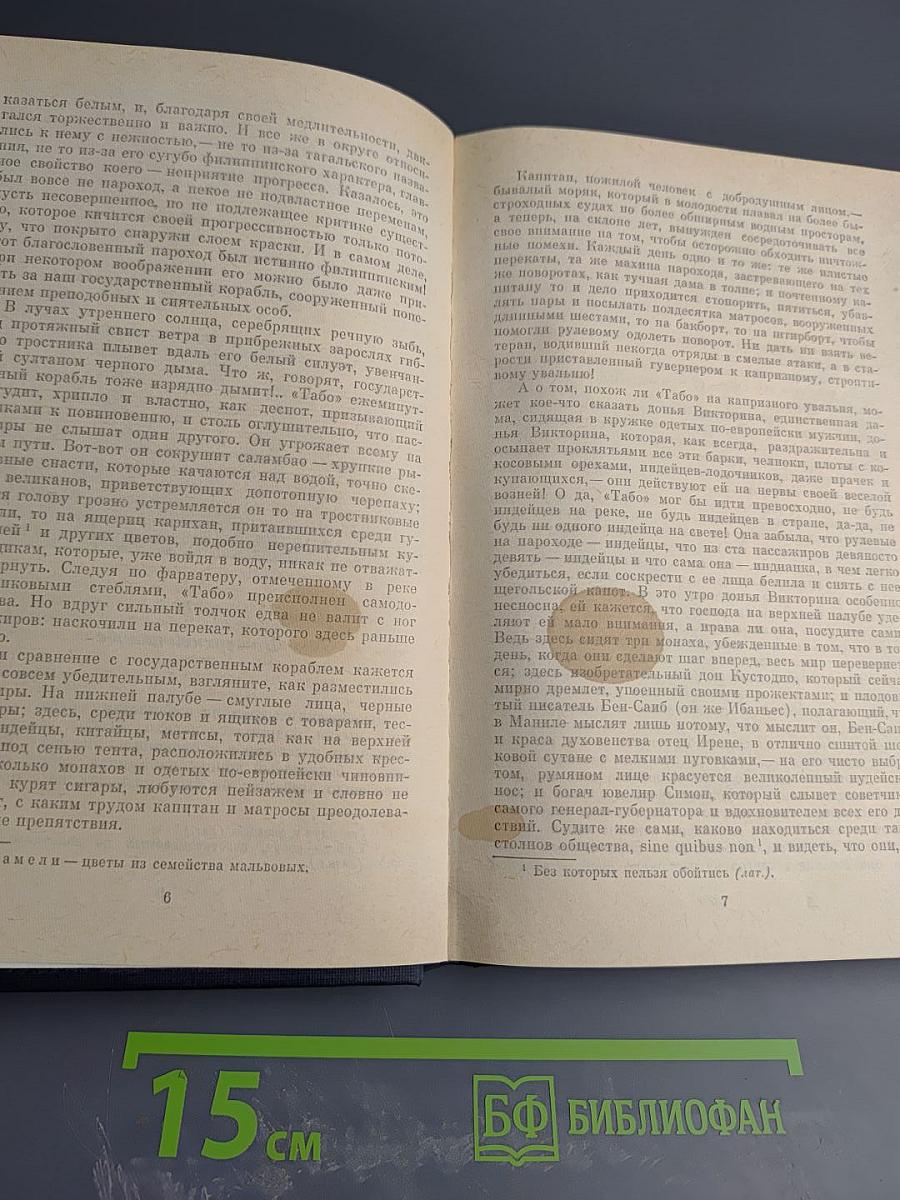 Флибустьеры