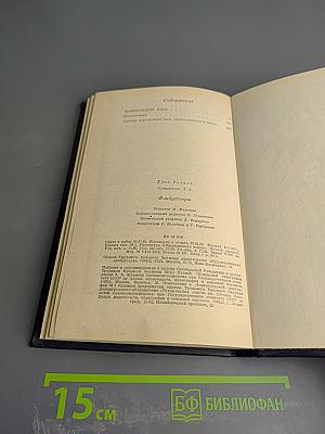 Флибустьеры