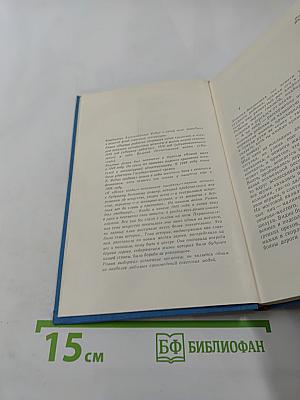 Первые радости