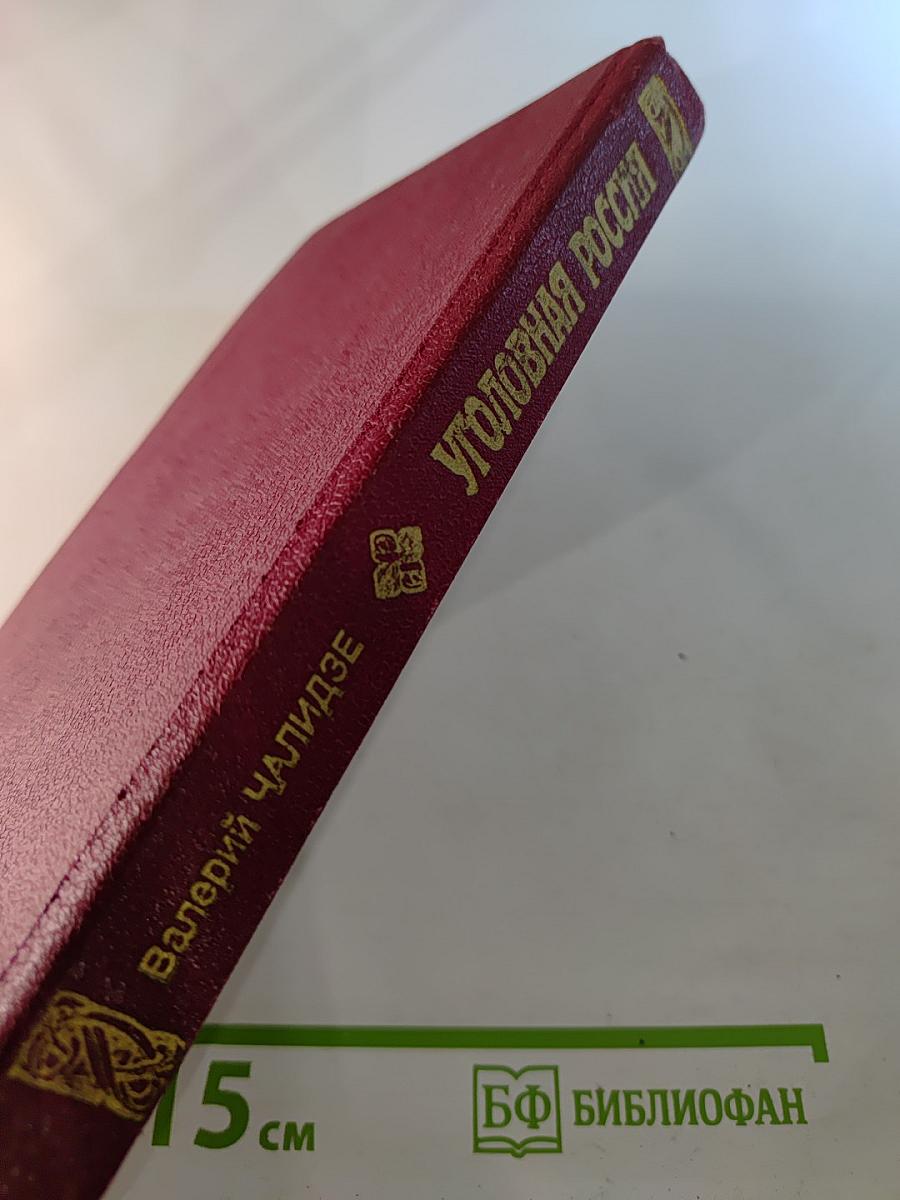 Уголовная Россия