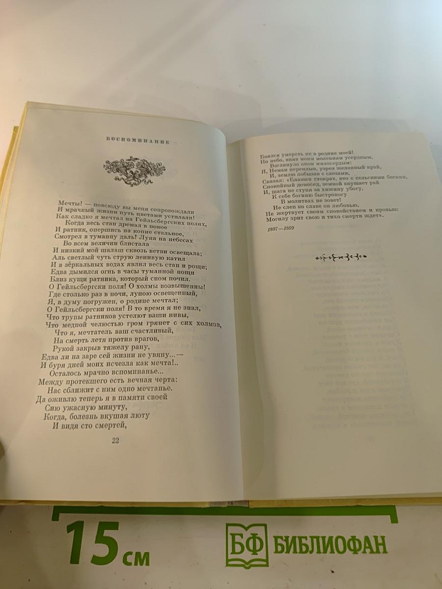 Избранная лирика