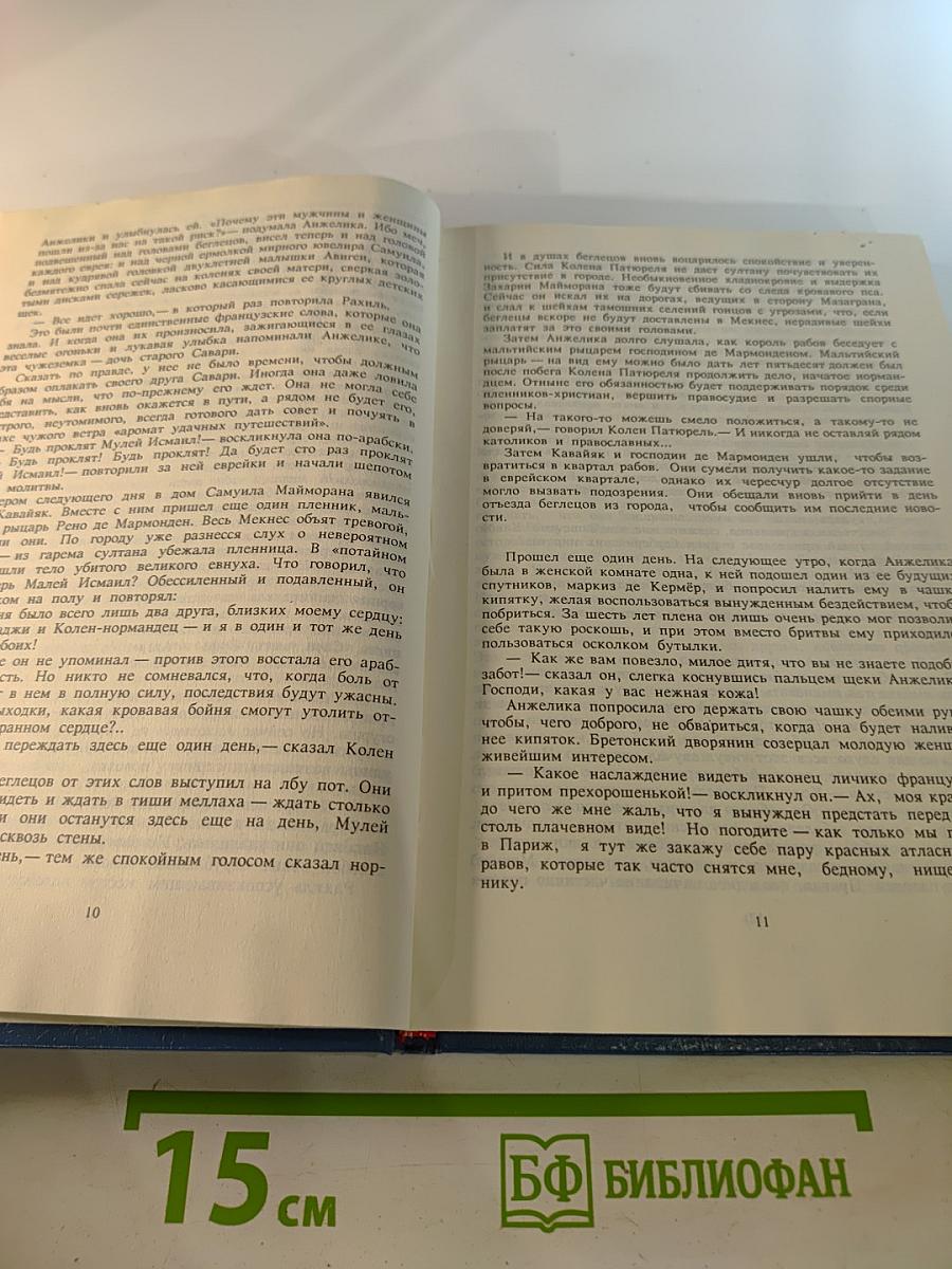 Бунтующая Анжелика. Книга 4