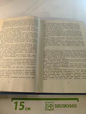 Бунтующая Анжелика. Книга 4