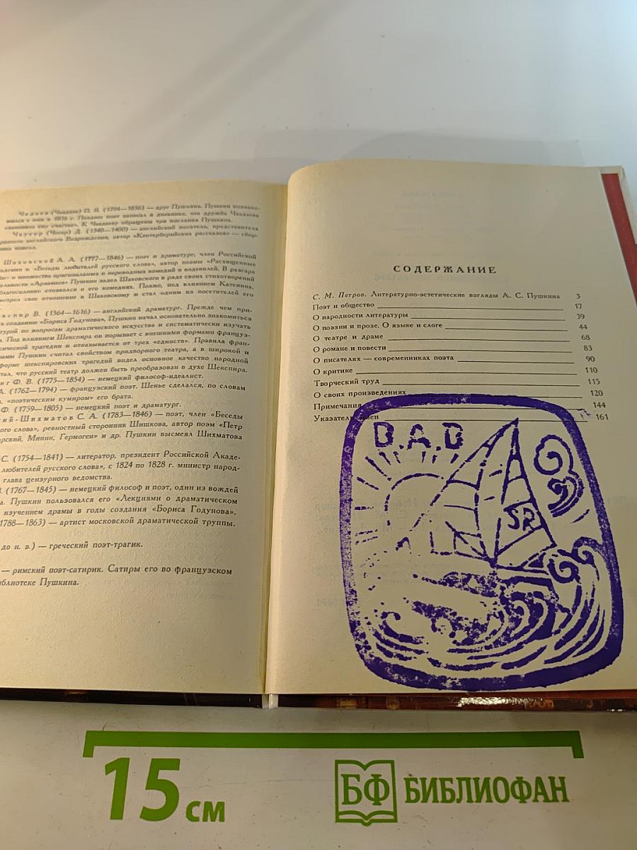 А.С. Пушкин о литературе