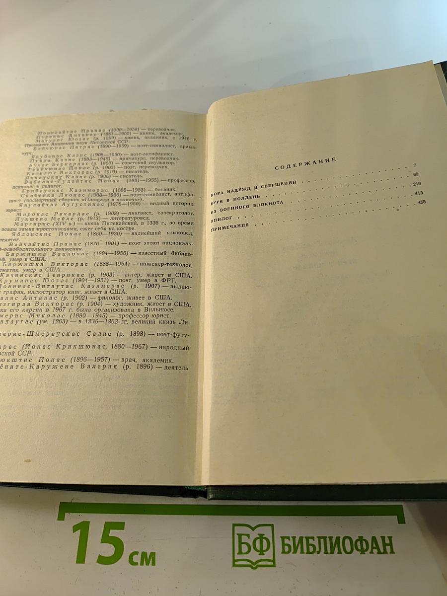 Буря в полдень