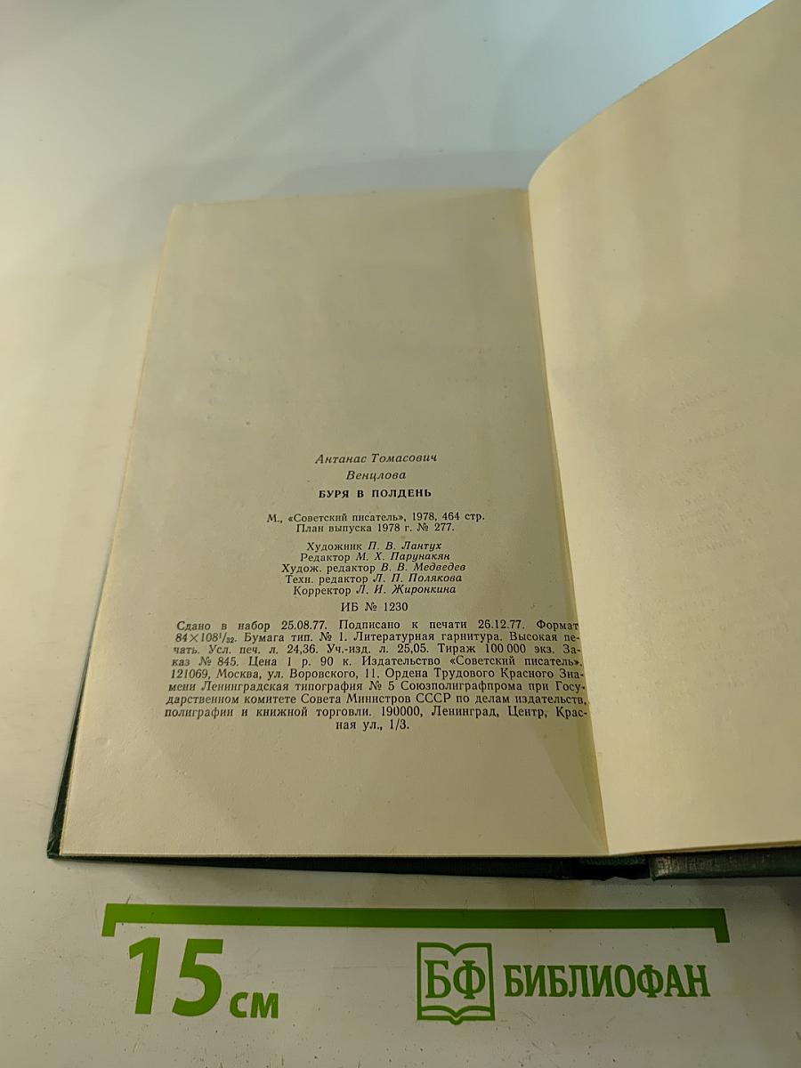 Буря в полдень