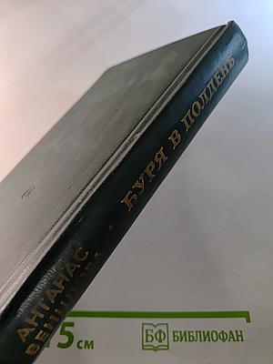 Буря в полдень