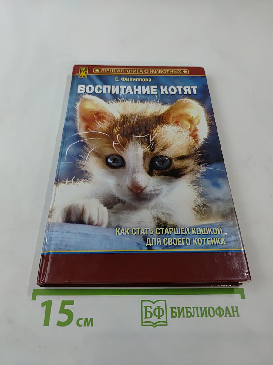 Воспитание котят