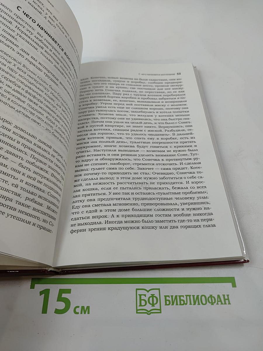 Воспитание котят