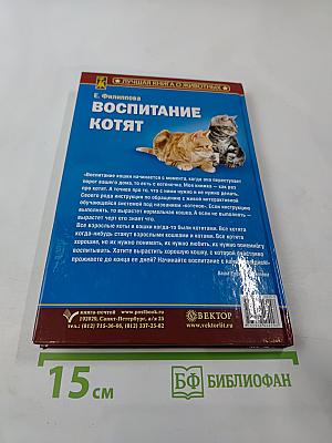 Воспитание котят