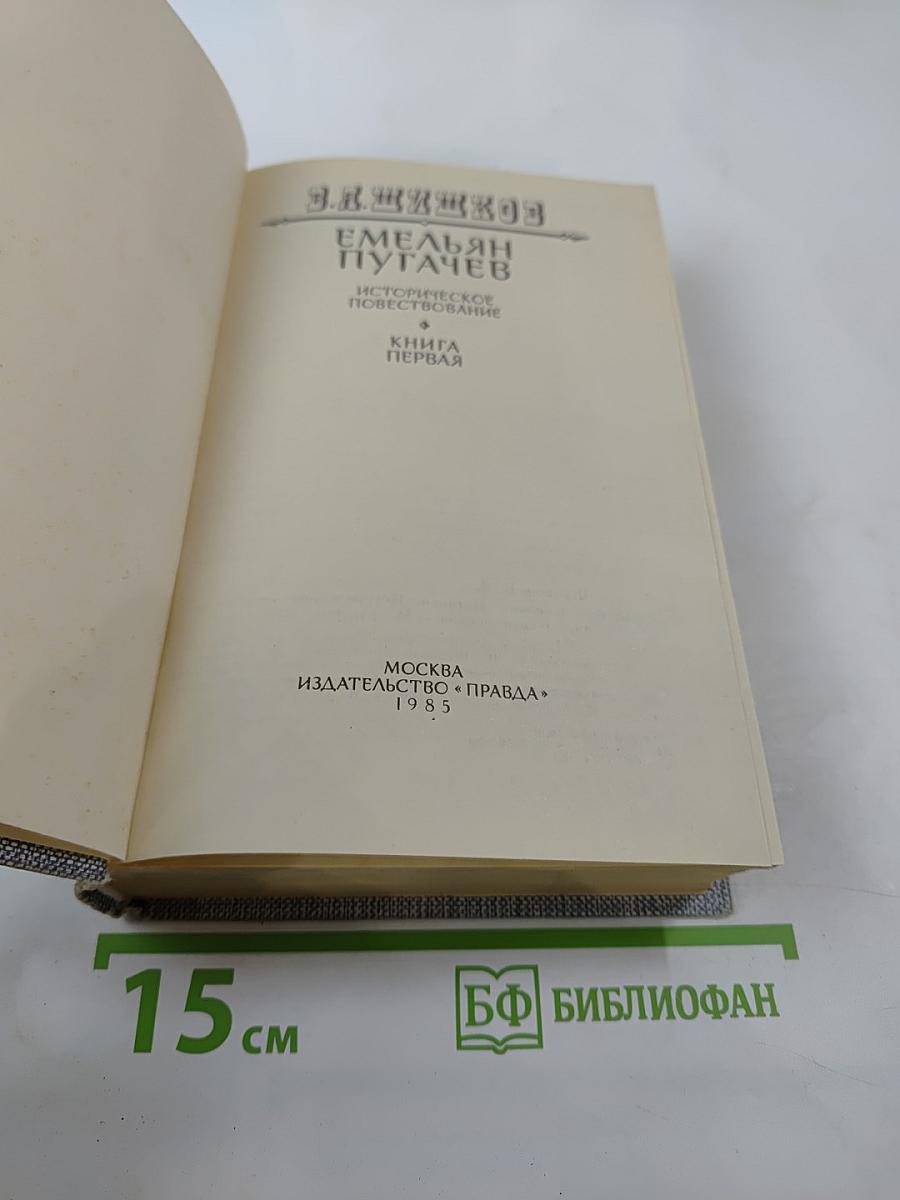 Емельян Пугачев. Книга первая