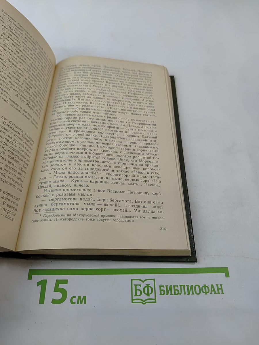 На горах. Книга первая