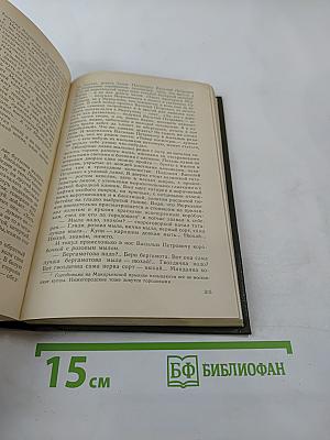 На горах. Книга первая