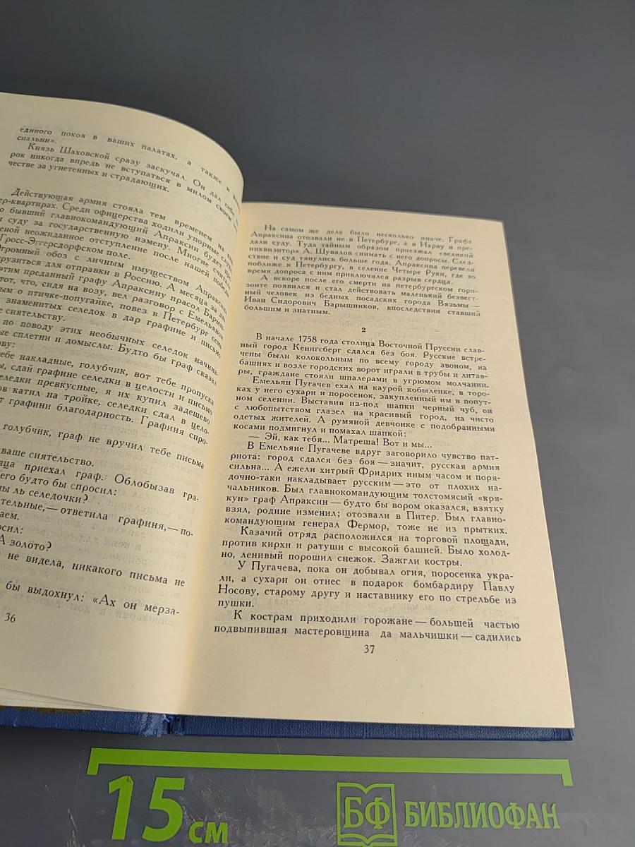Емельян Пугачев: историческое повествование