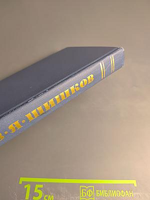 Емельян Пугачев: историческое повествование