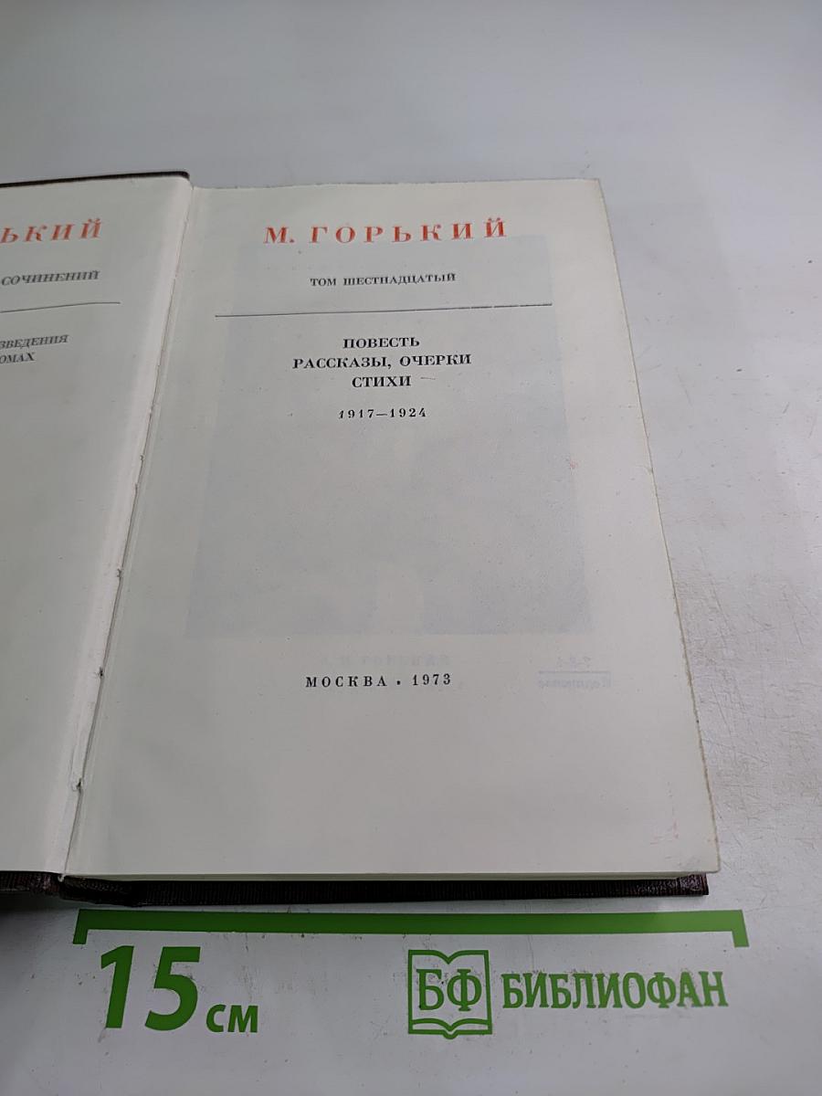 Собрание сочинений. Том шестнадцатый. Повесть. Рассказы. Очерки. Стихи. 1917-1924
