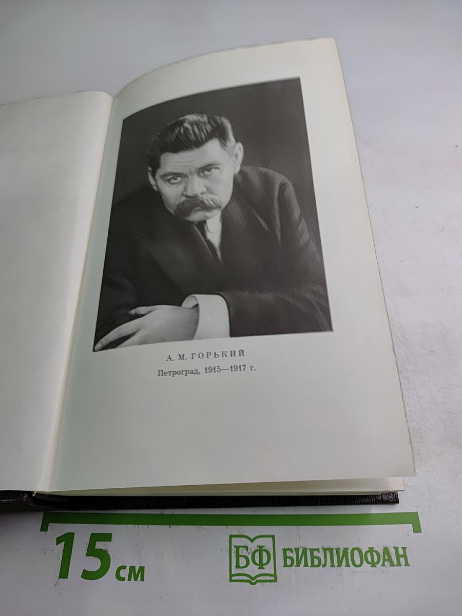 Собрание сочинений. Том шестнадцатый. Повесть. Рассказы. Очерки. Стихи. 1917-1924