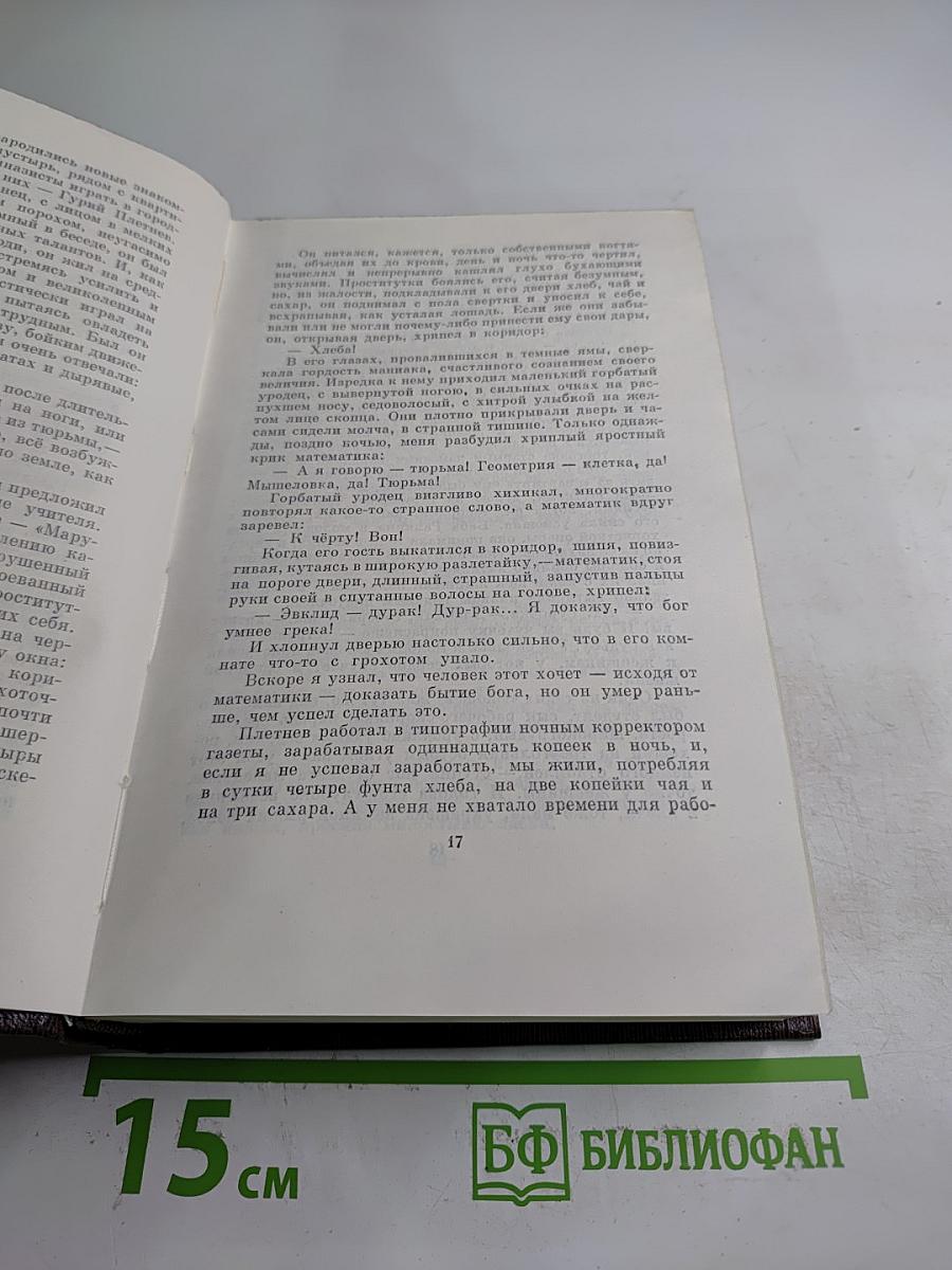 Собрание сочинений. Том шестнадцатый. Повесть. Рассказы. Очерки. Стихи. 1917-1924