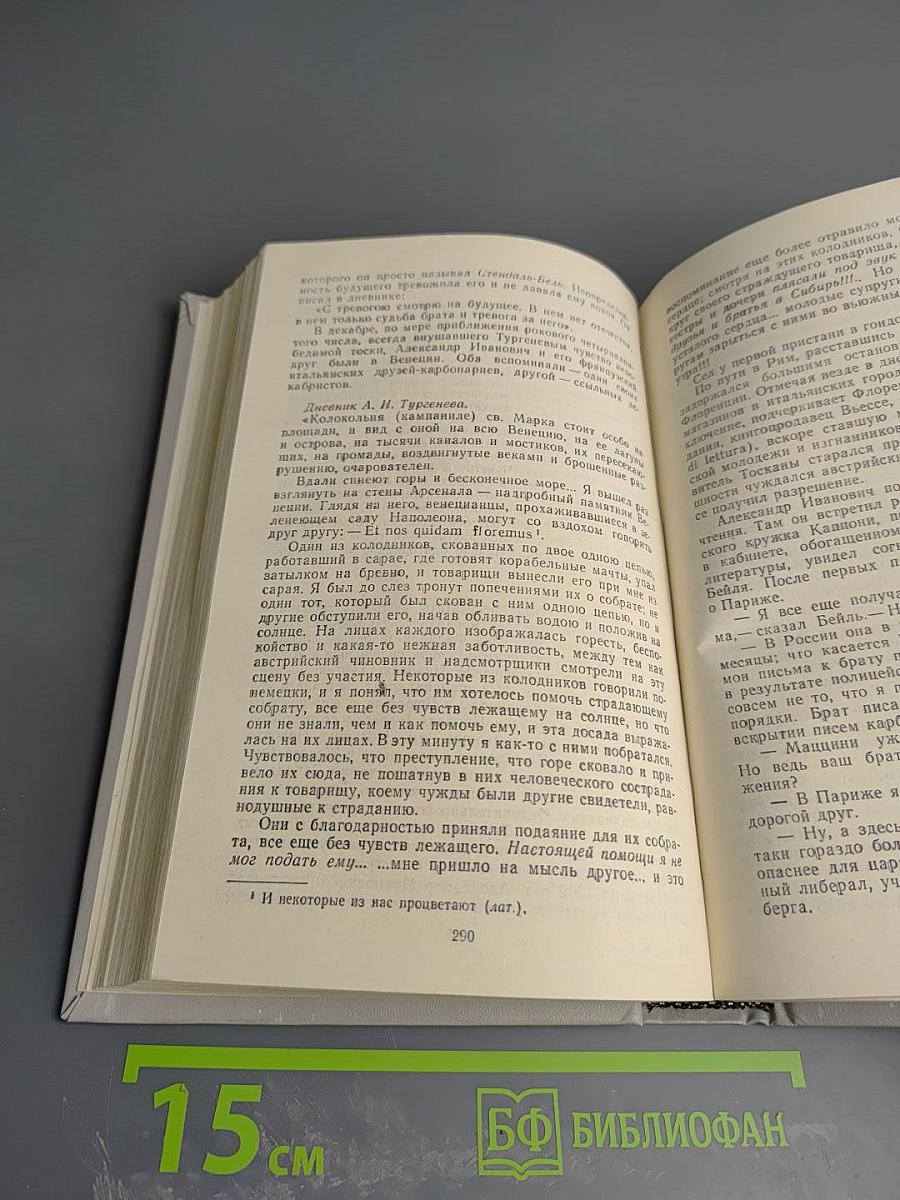 Повесть о братьях Тургеневых. Осуждение Паганини