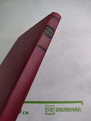 Собрание сочинений. Том десятый. Очарованная душа. Книга четвертая: Смерть одного мира