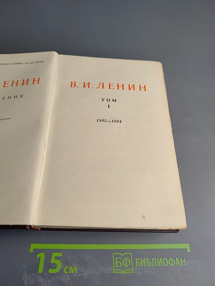 Сочинения. Том 1. 1893-1894