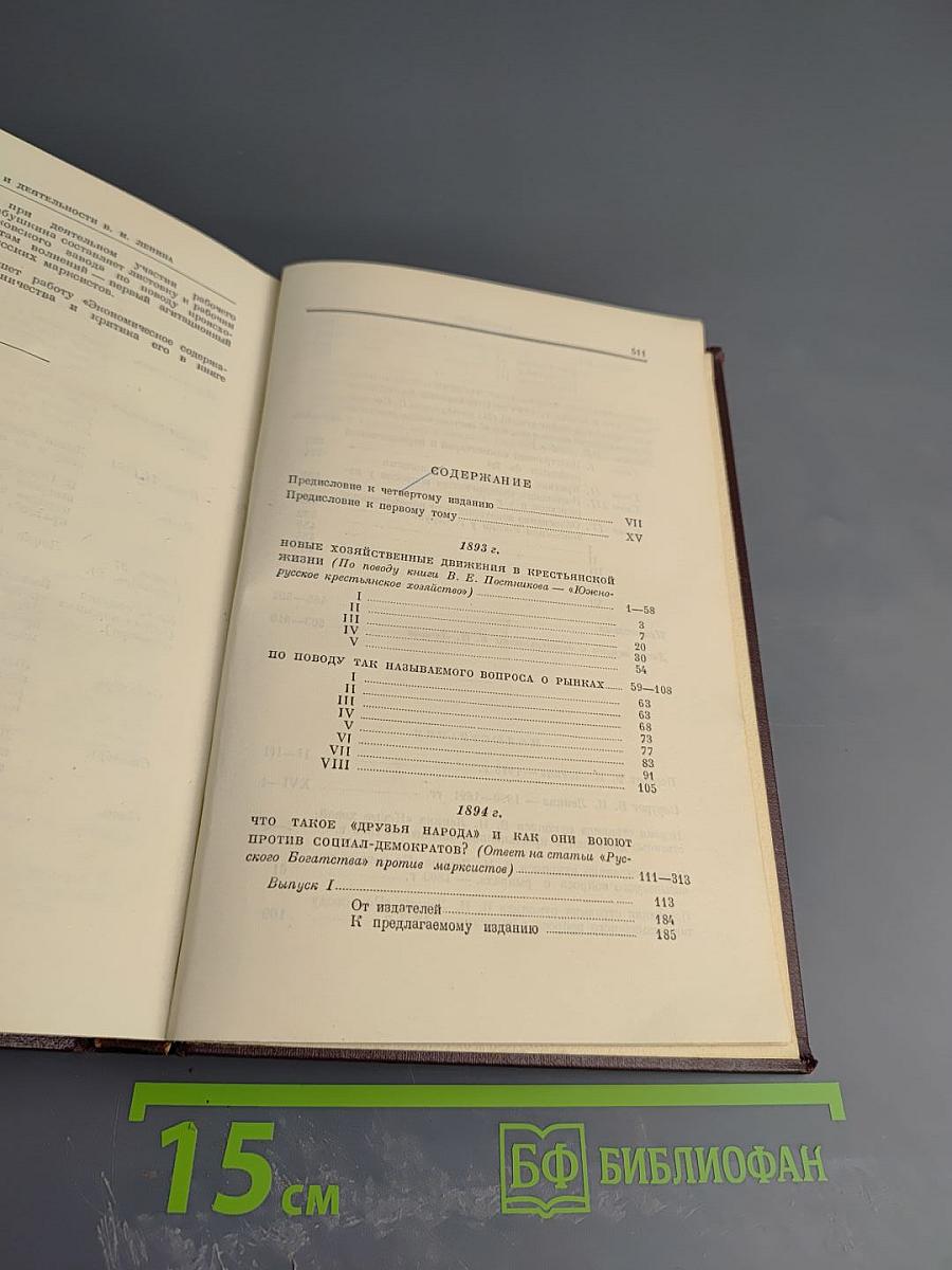 Сочинения. Том 1. 1893-1894