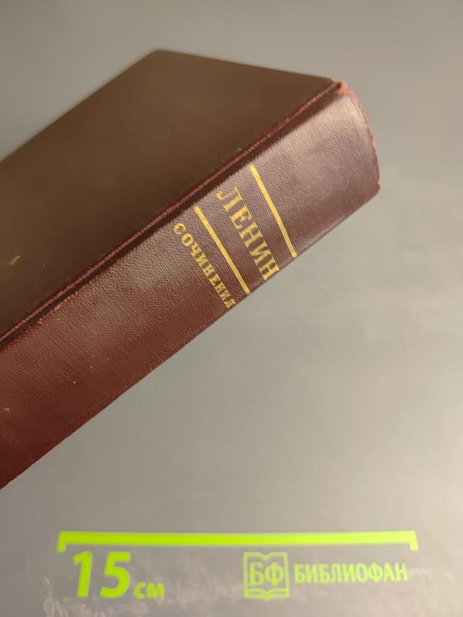 Сочинения. Том 1. 1893-1894