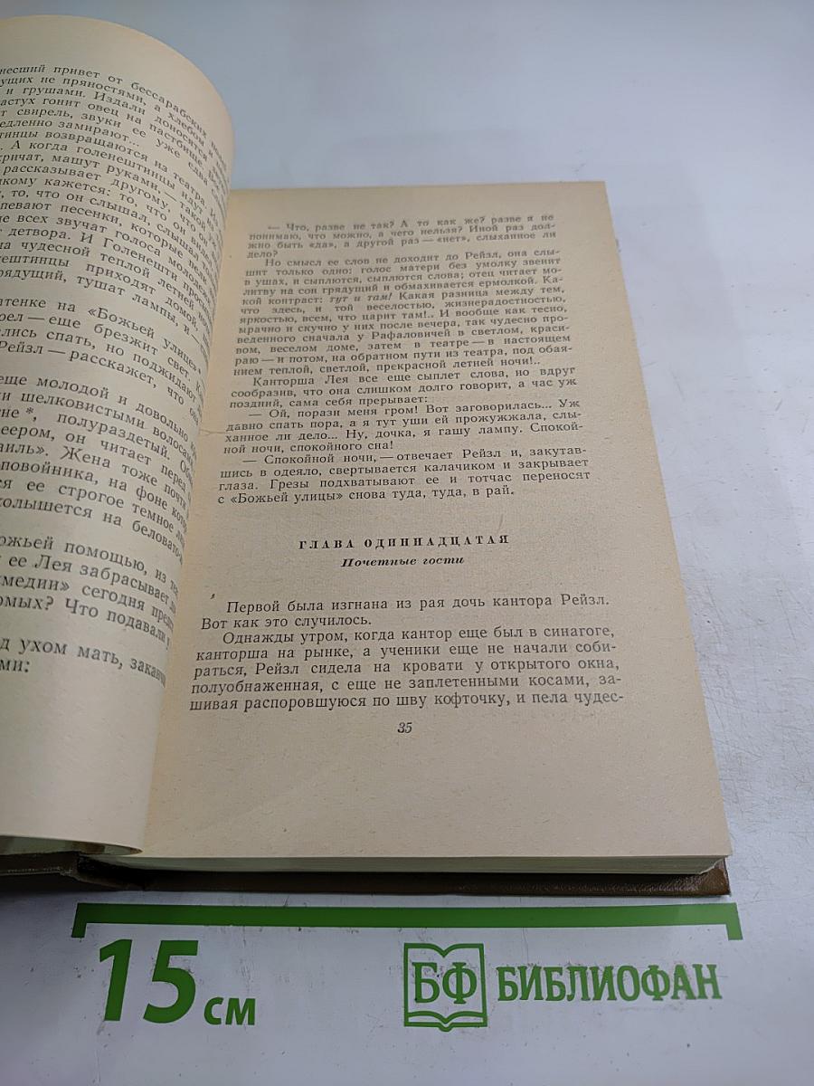 Собрание сочинений. Том второй: Блуждающие звезды. Роман