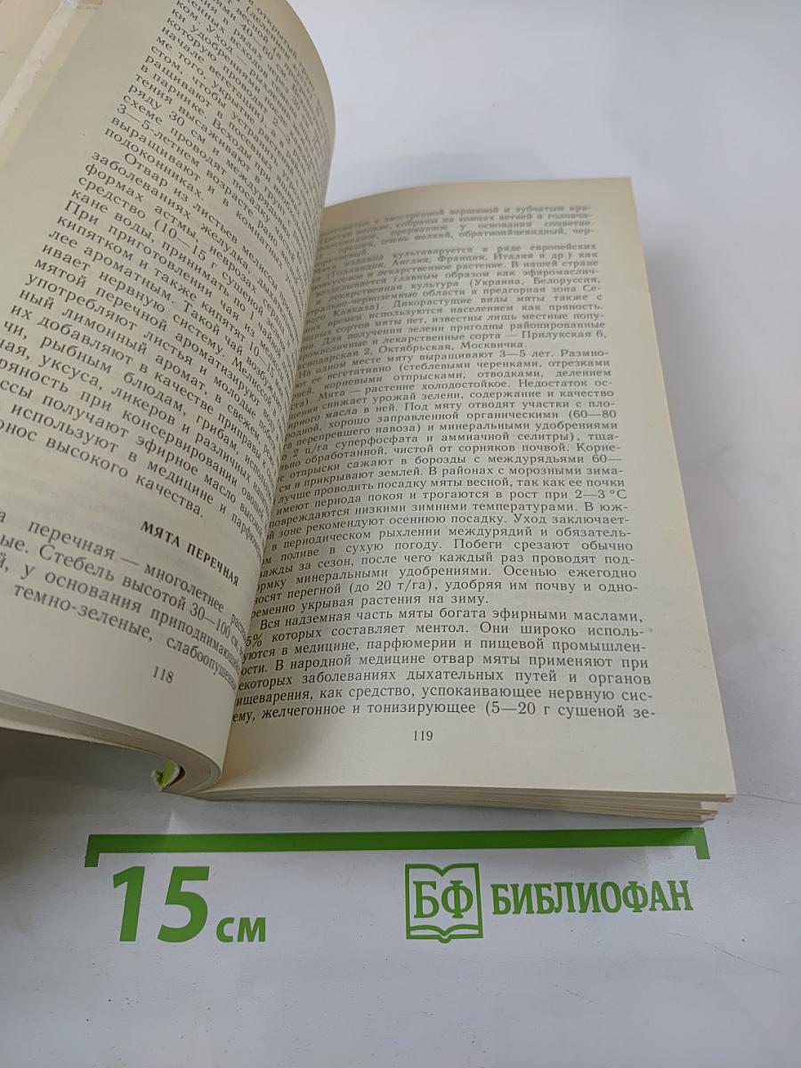 Овощи - родник здоровья