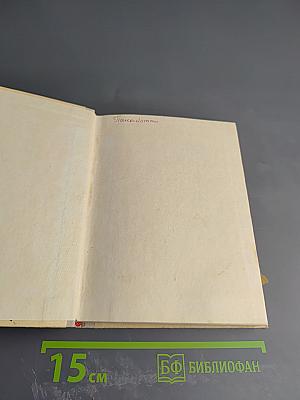 Чайковский в Петербурге