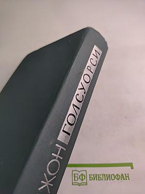 Собрание сочинений в шестнадцати томах. Том 10