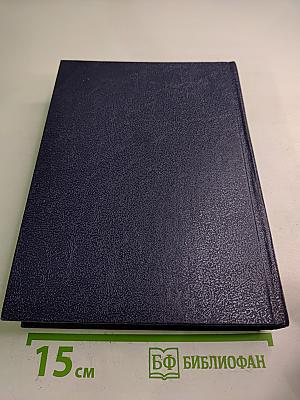 Три Вѣка. Россія отъ Смуты до нашего времени. Том III-IV