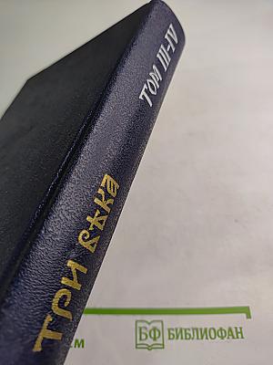 Три Вѣка. Россія отъ Смуты до нашего времени. Том III-IV