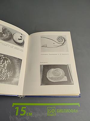 Карпинский в Петербурге – Петрограде – Ленинграде