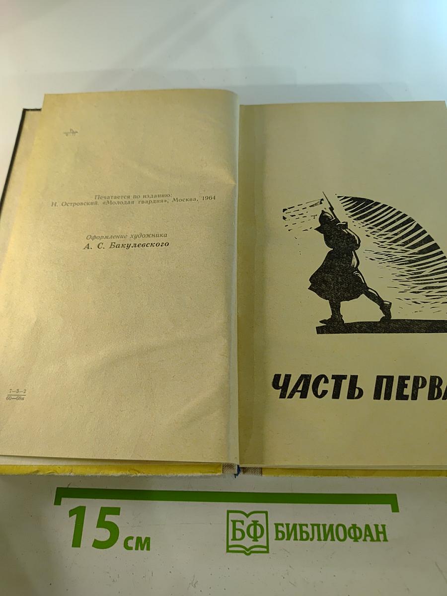 Как закалялась сталь