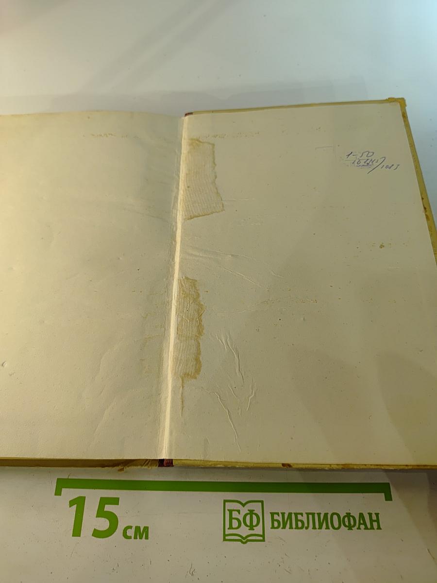 Некрасов и Петербург