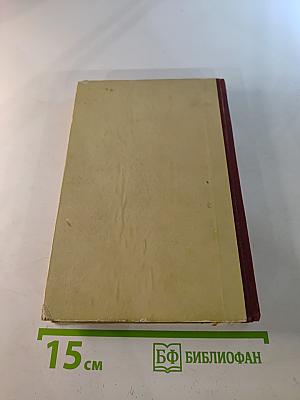 Некрасов и Петербург