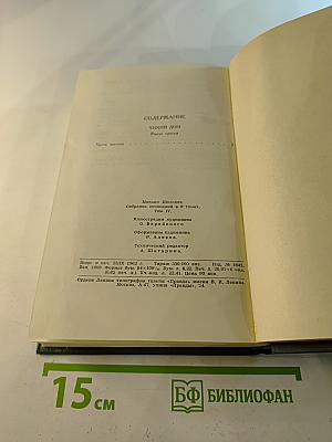 Тихий Дон. Часть третья. Том 4