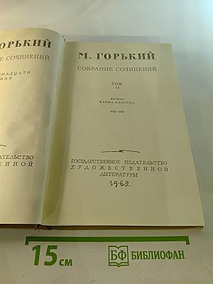 Собрание сочинений. Том 13. Жизнь Клима Самгина