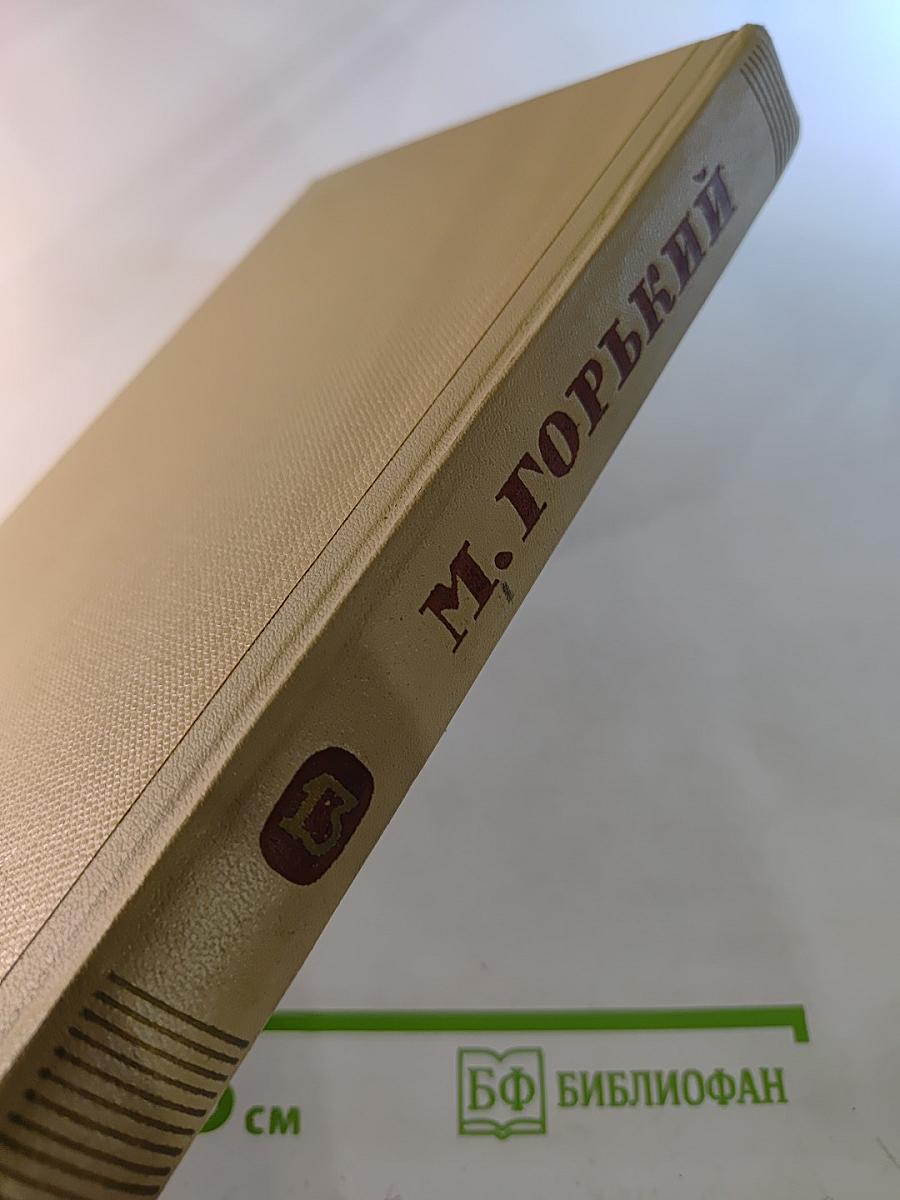 Собрание сочинений. Том 13. Жизнь Клима Самгина