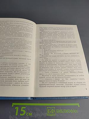 Взрыв. Приговор приведен в исполнение. Чужое оружие