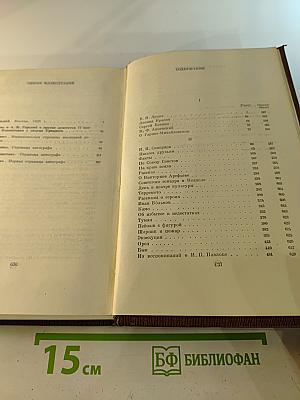 Собрание сочинений. Художественные произведения. Том 20: Рассказы, очерки, воспоминания 1924-1935