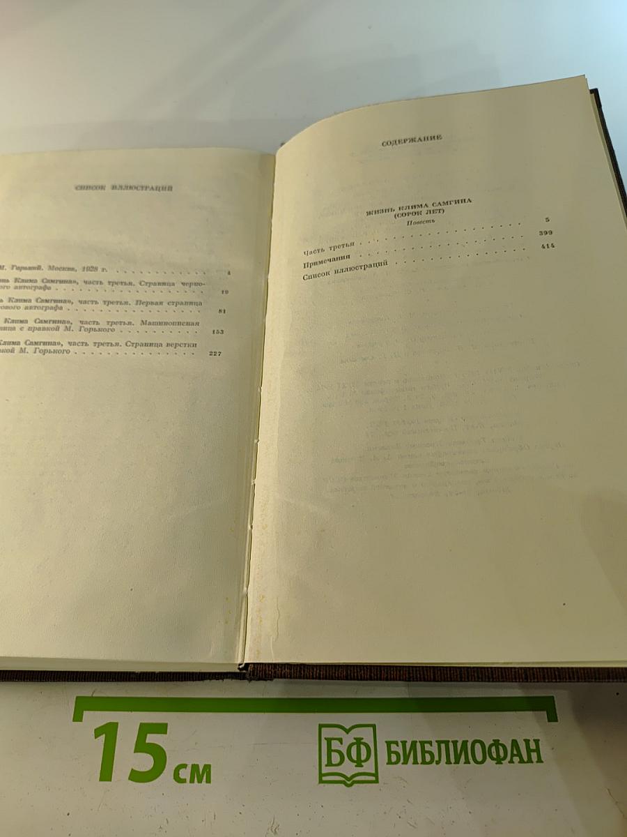 Жизнь Клима Самгина. Том двадцать третий