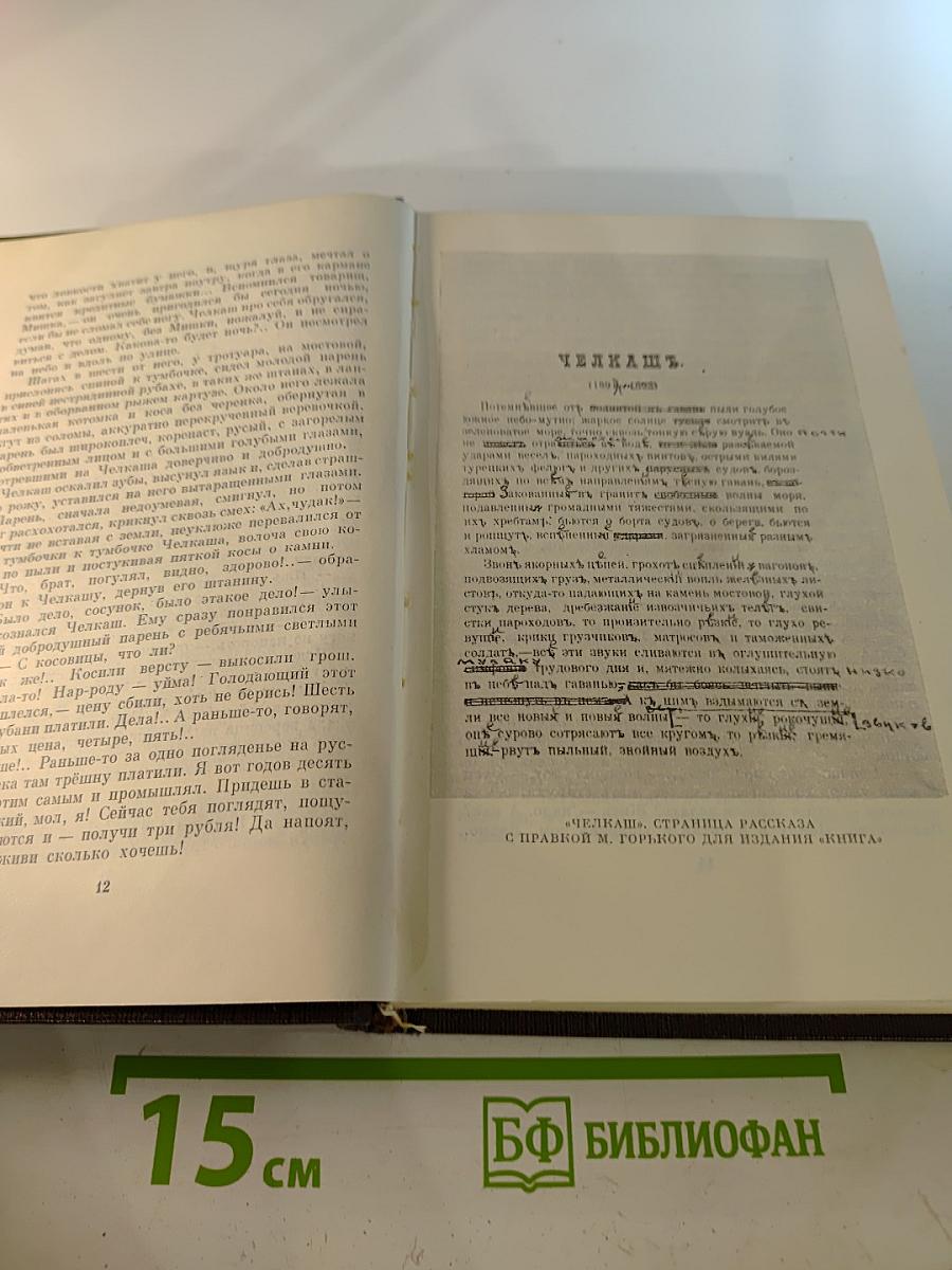 Том 2: Рассказы, очерки, наброски, стихи. 1894-1896