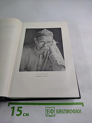 Собрание сочинений. Том 25. Статьи, речи, приветствия 1929 – 1931