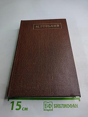 Жизнь Клима Самгина (Том двадцать первый)