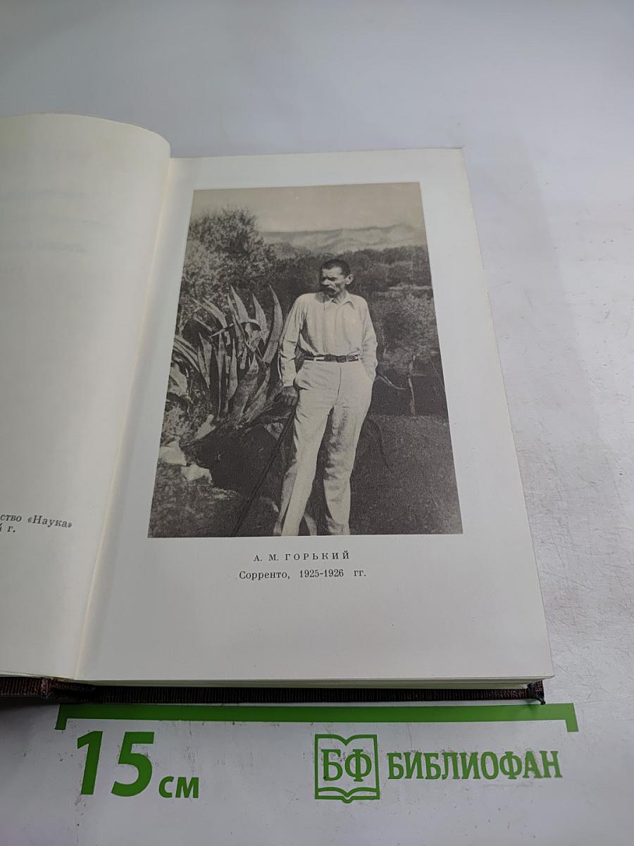 Жизнь Клима Самгина (Том двадцать первый)