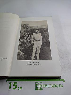 Жизнь Клима Самгина (Том двадцать первый)