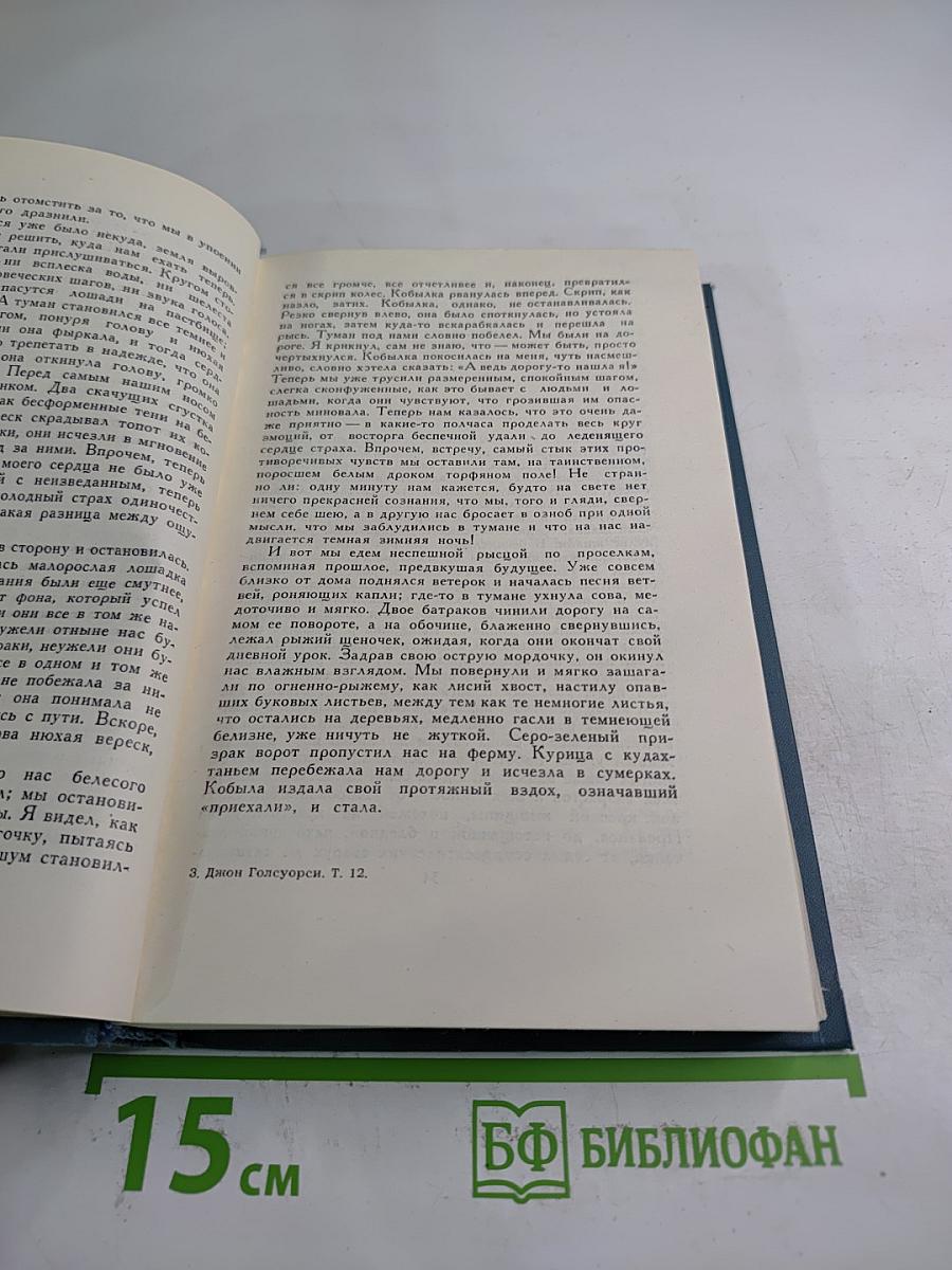 Собрание сочинений в шестнадцати томах. Том 12