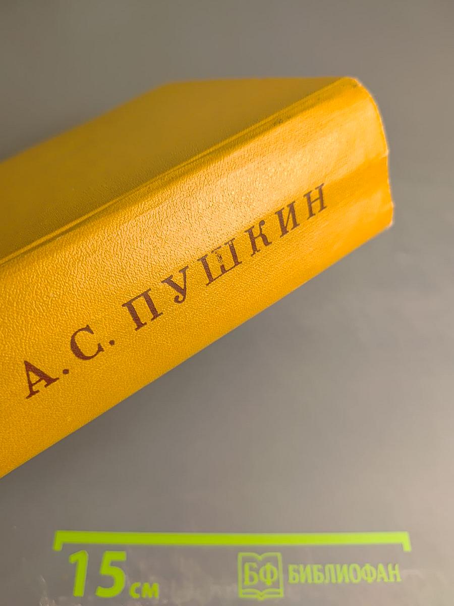 Полное собрание сочинений. Том десятый: Письма